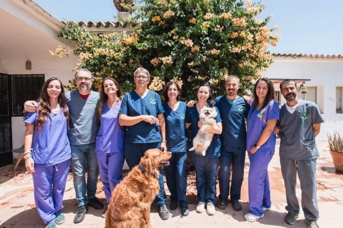 Clinica Veterinaria San Francisco 1 clinica veterinaria san francisco