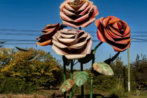 Col. las Rosas