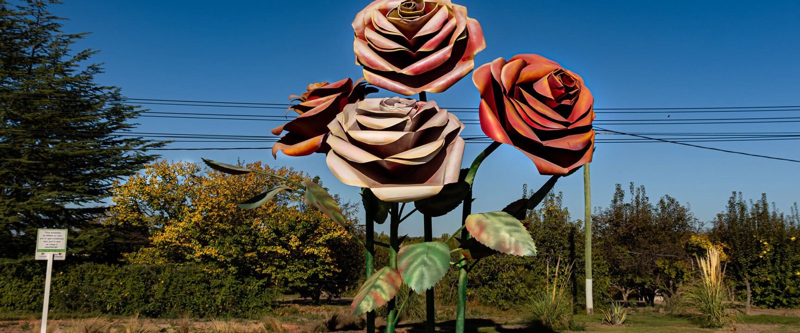 Col. las Rosas 1 col las rosas