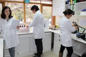 Lacm - Laboratorio de Analisis 7 Lacm – Laboratorio de Analisis