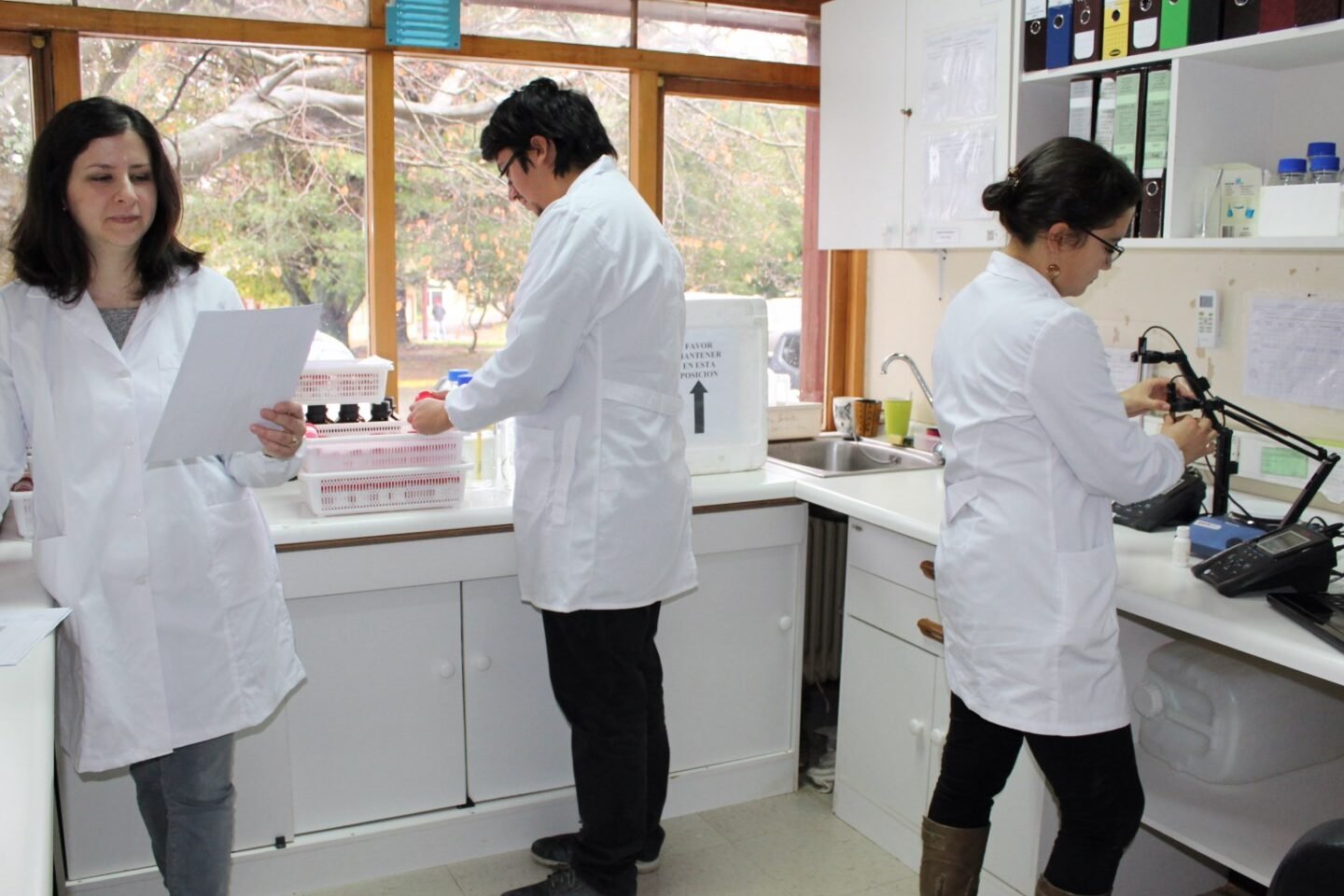 Lacm - Laboratorio de Analisis 1 lacm laboratorio de analisis