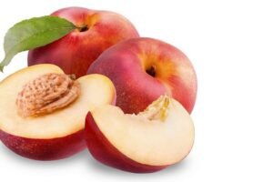 Nercoline 3 Nercoline