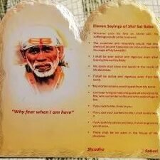 S.A.I.E. L.E.V.E.N. 1 s a i e l e v e n