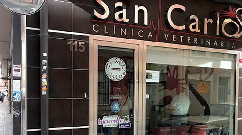 Veterinaria San Carlos 1 veterinaria san carlos